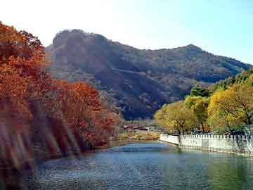 亚洲国产女人综合，山魈